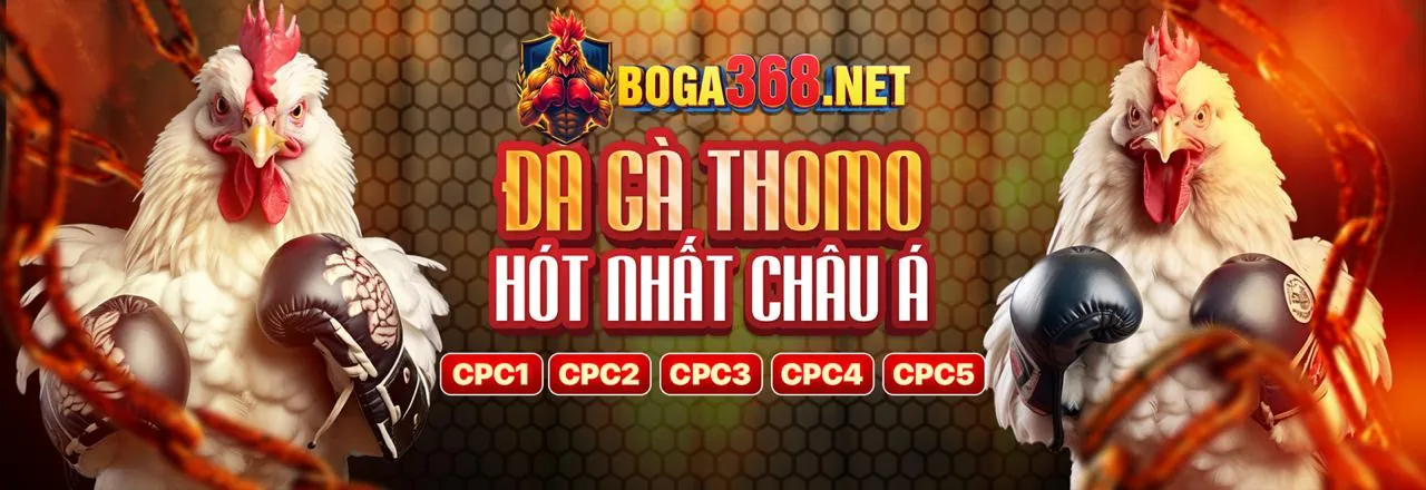 Giải mã ưu điểm nền tảng bong99 win