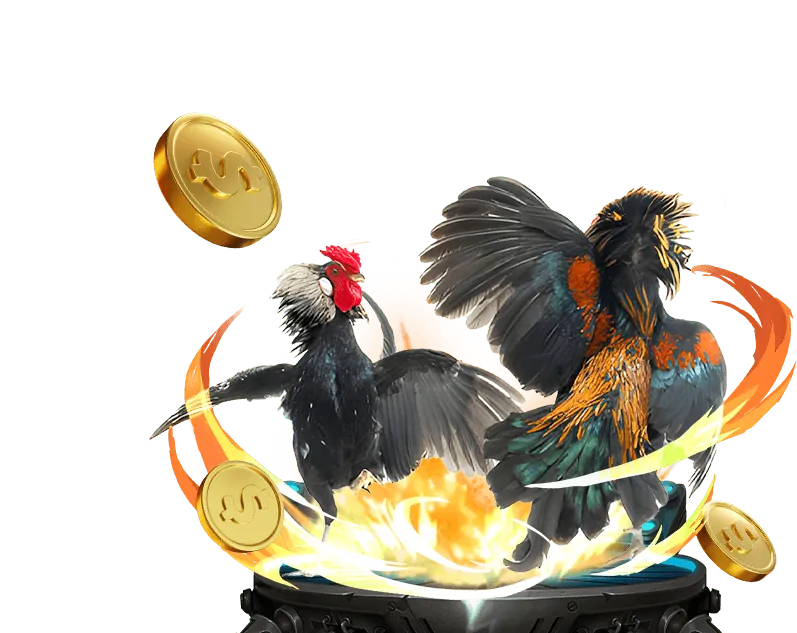 Cá cược thể thao tại bong99 win